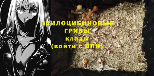 трава Новодвинск