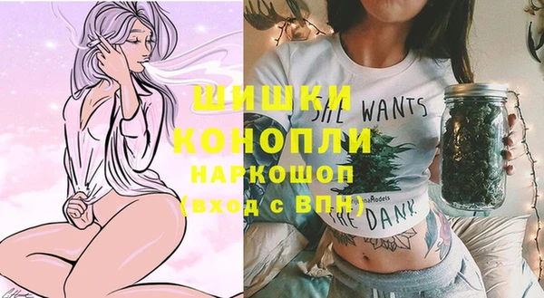 дмт Няндома
