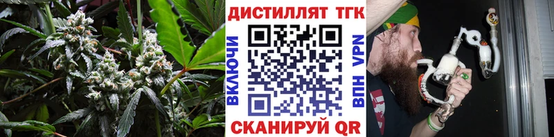 ТГК концентрат  Саки 