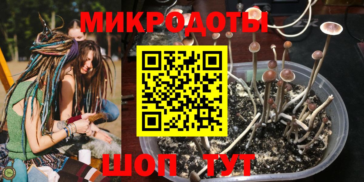 Саки  Галлюциногенные грибы мицелий  Вход с VPN 