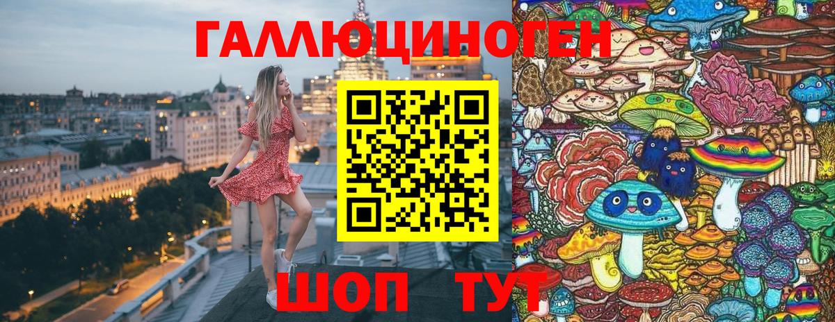 Псилоцибиновые грибы Psilocybine cubensis Саки