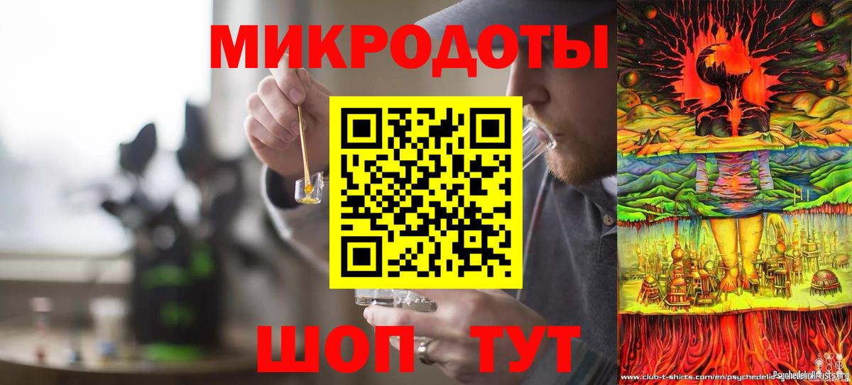 Псилоцибиновые грибы Psilocybine cubensis  Галлюциногенные грибы мицелий  как найти   Саки 